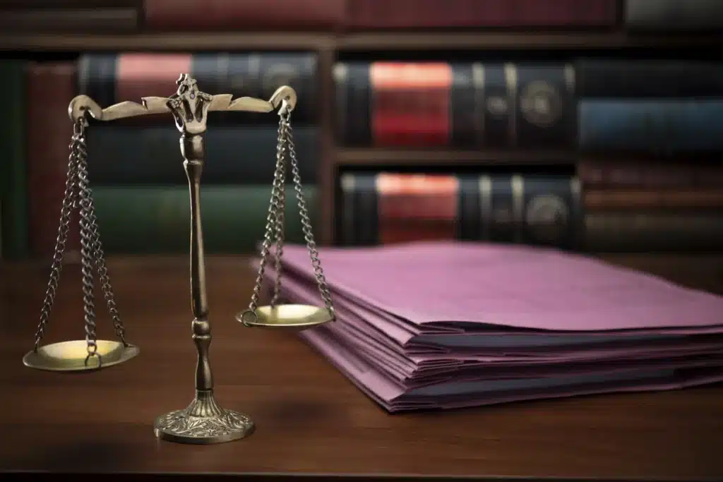 Law School Support
